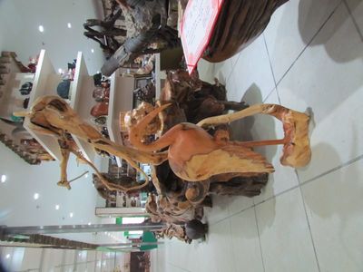 自然根藝根雕崖柏《獨樹一幟》 匠心獨運，定制專屬藝術品